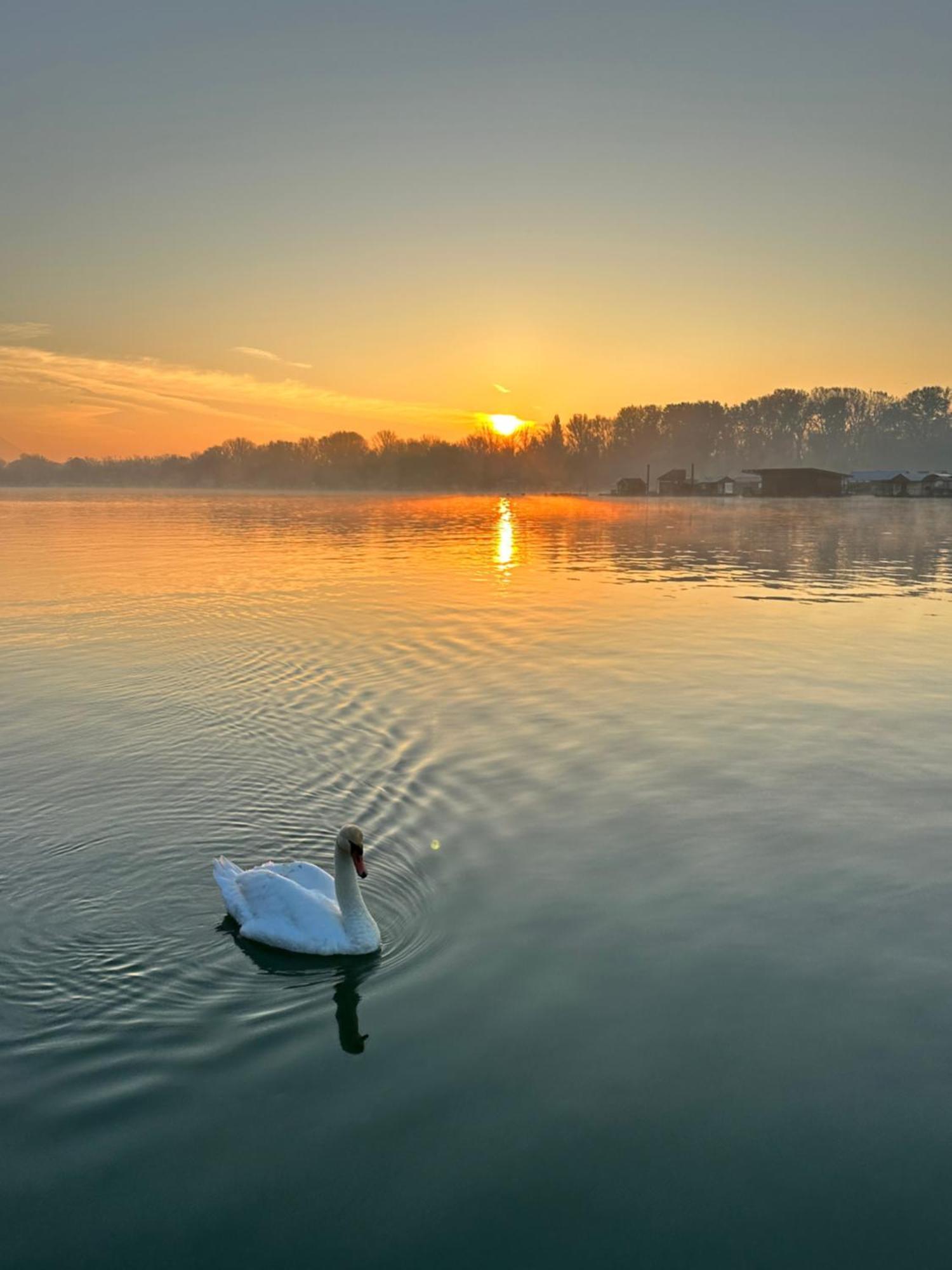 Hotel Swan à Belgrade Extérieur photo
